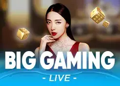 Big-gaming-1